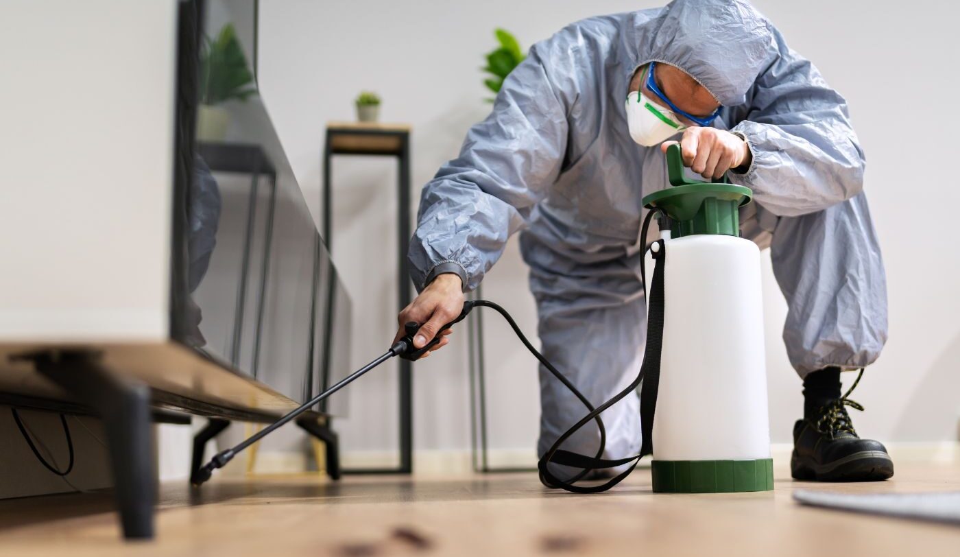 Pest Control Services in Ashburn Va Pest Control Services in Ashburn Va