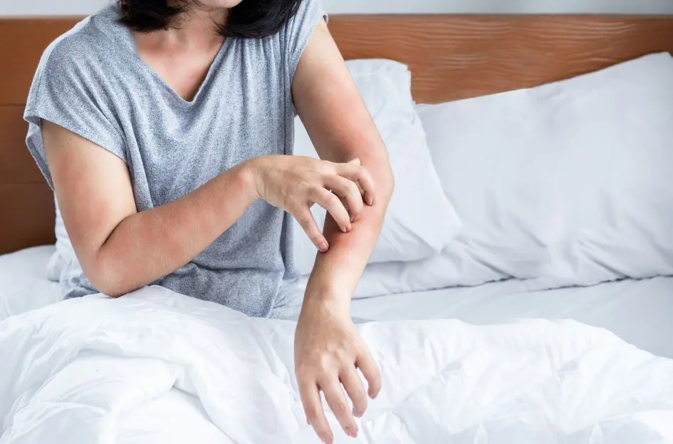 bed bug extermination bed bug extermination