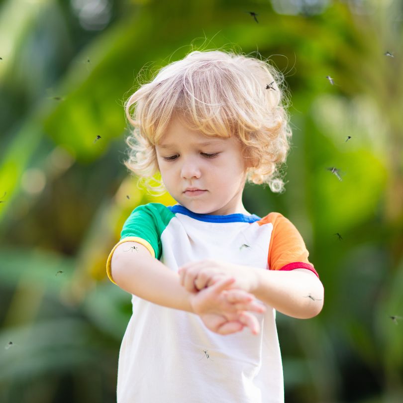 mosquito control services